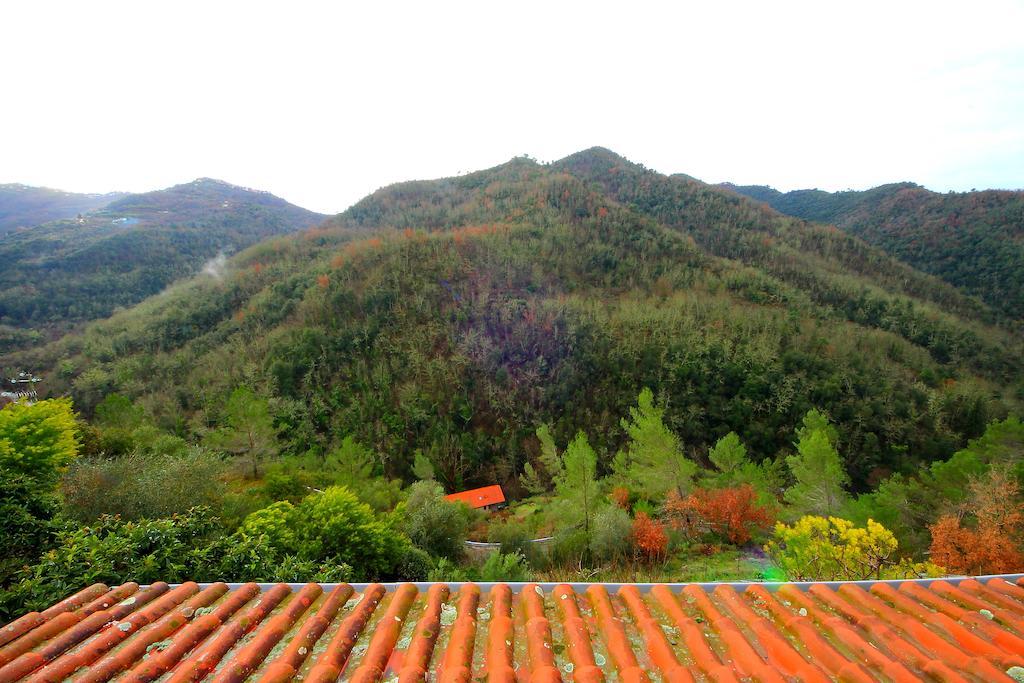 La Favorita Apricale B&B & Ristorante Rom bilde